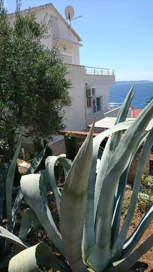 Charming Modern House With The New Swimming Pool - Maya 1 Apartmán
